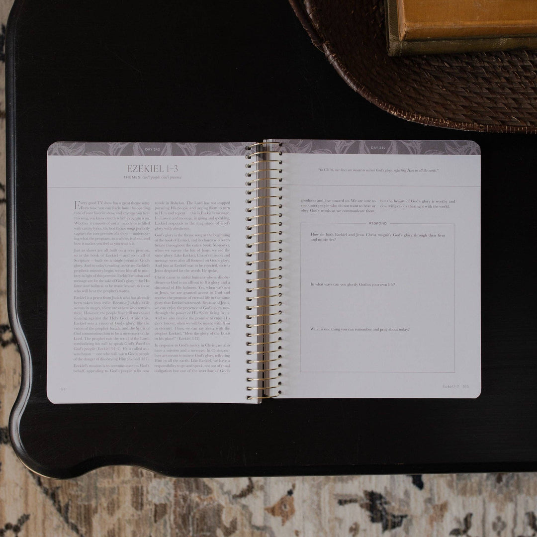 A Year in the Bible | 365 Days of Discovering the Beauty of Jesus from Genesis to Revelation | Volume 3