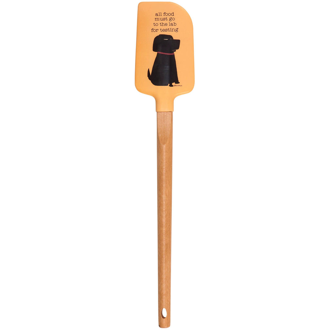 Lab For Testing Spatula
