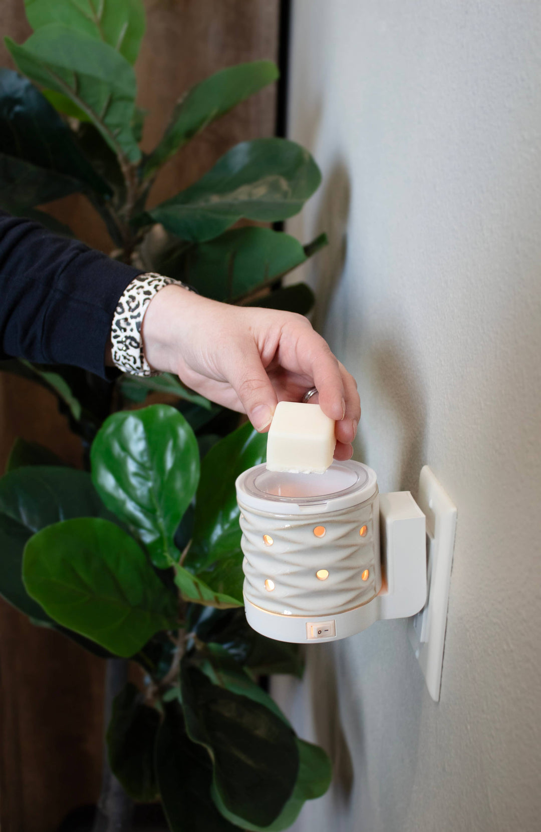 5.5 oz Wax Melts: Caramel Apple