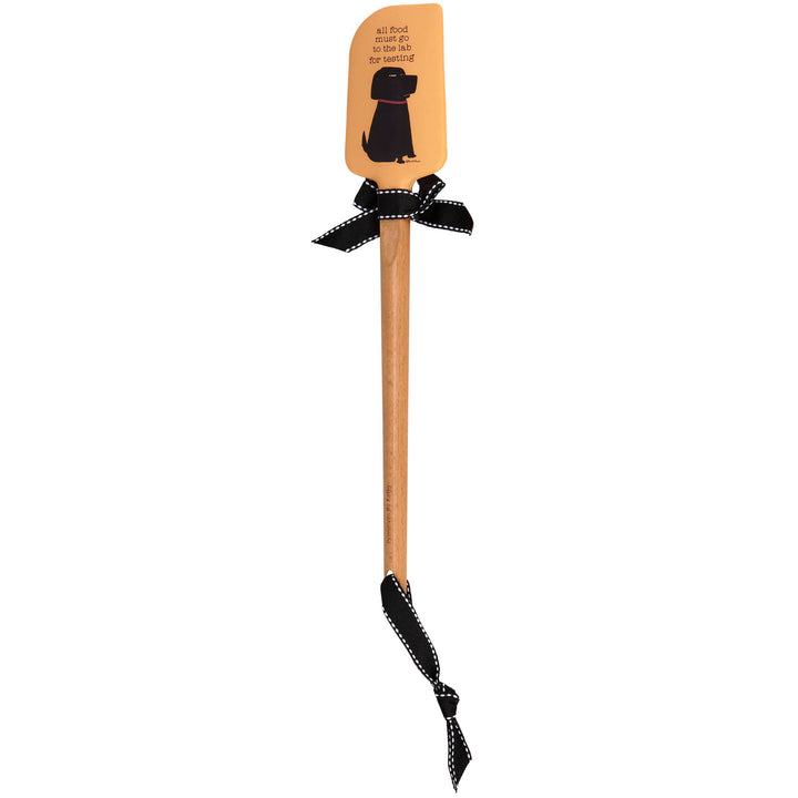 Lab For Testing Spatula