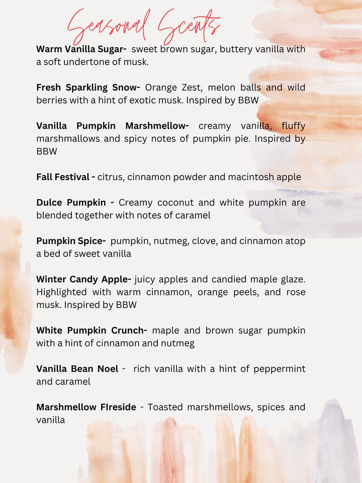 Zero F's Given Car Freshie