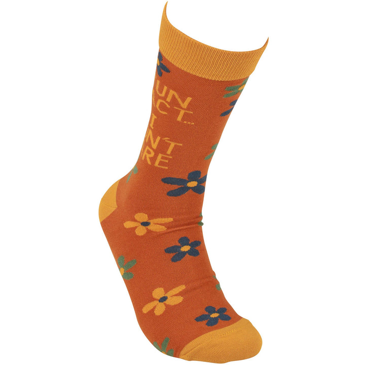 Fun Fact I Don't Care Socks