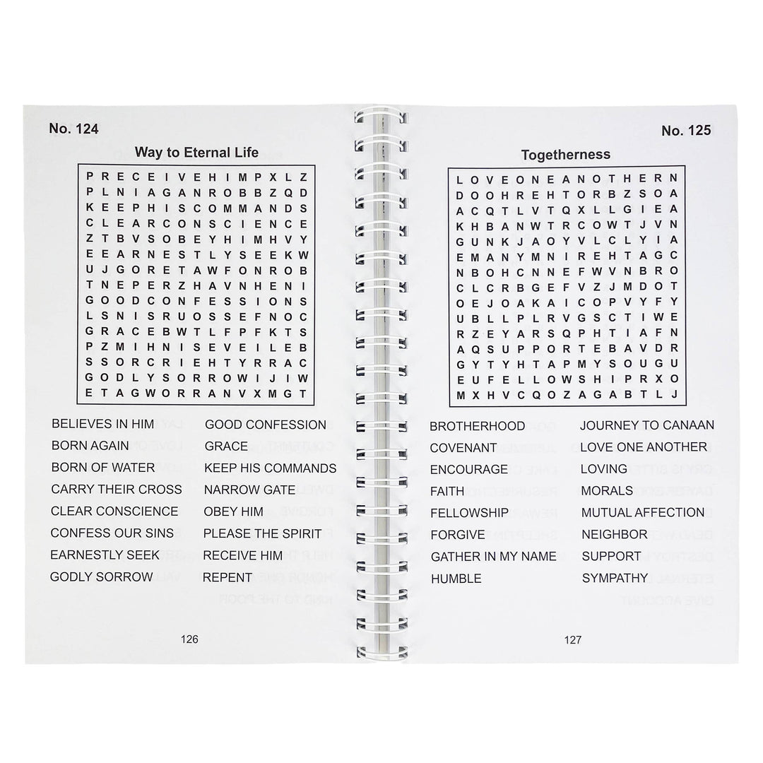 Bible Large Print Religious Word Search Adult Puzzle Book