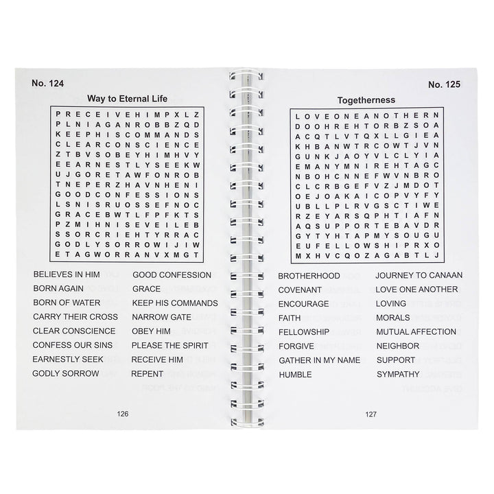 Bible Large Print Religious Word Search Adult Puzzle Book