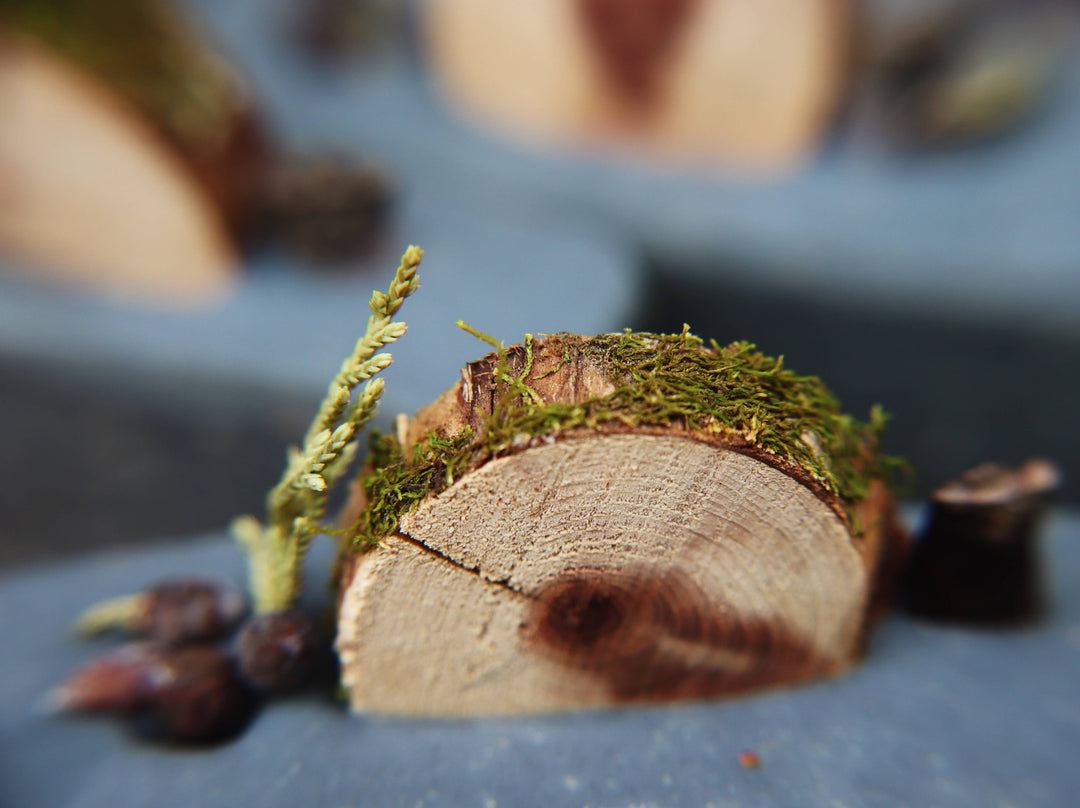 Into the Woods Goat Milk Soap