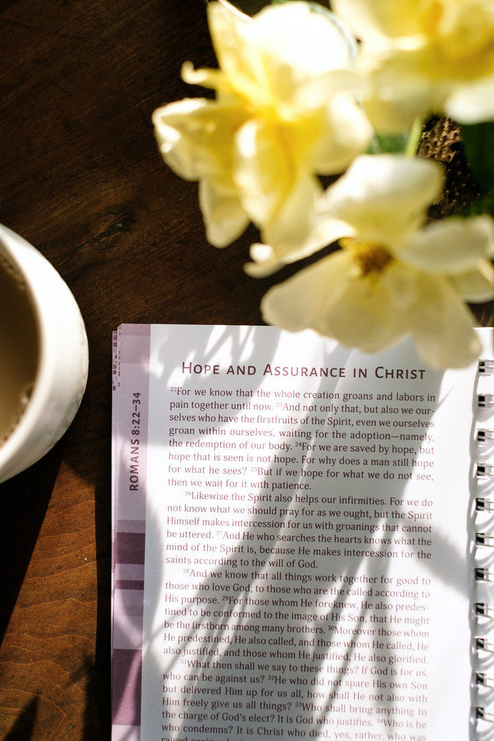 Romans: An All-in-One Study on Salvation and New Life