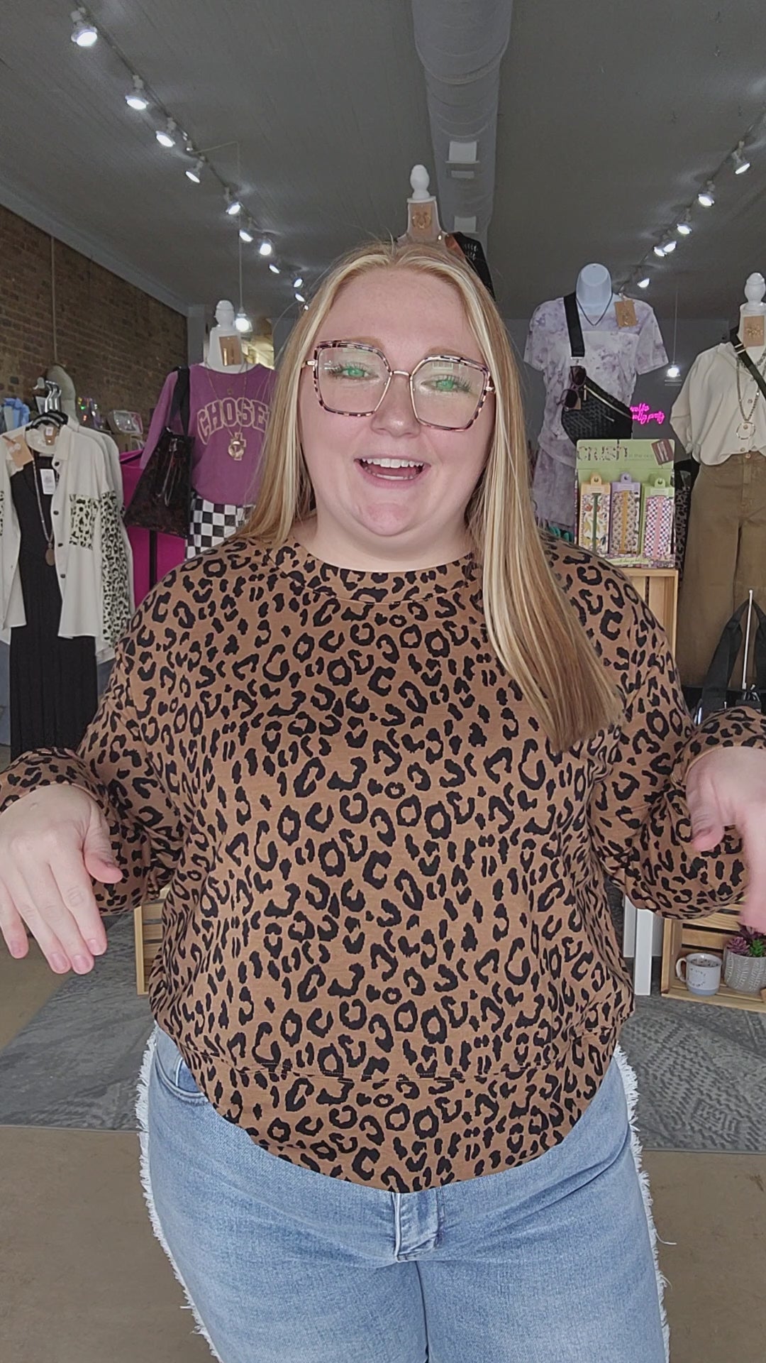 Leopard Long Stripe Sleeve Top