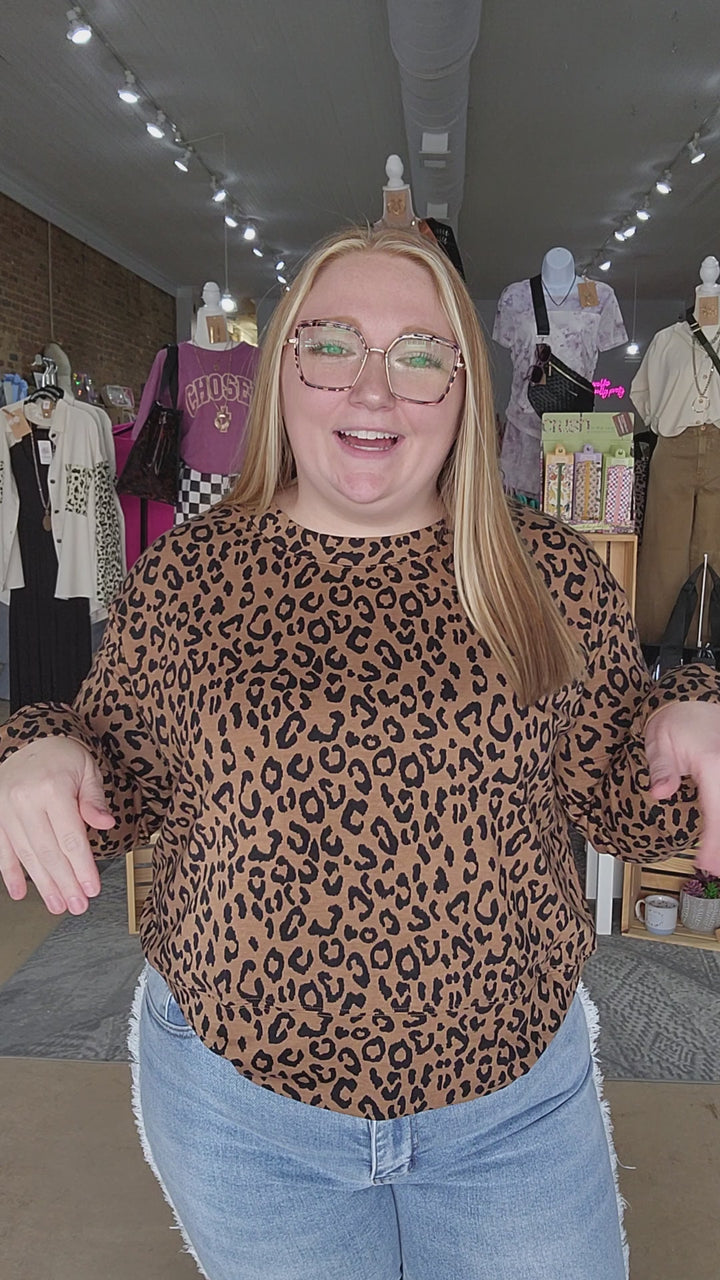 Leopard Long Stripe Sleeve Top