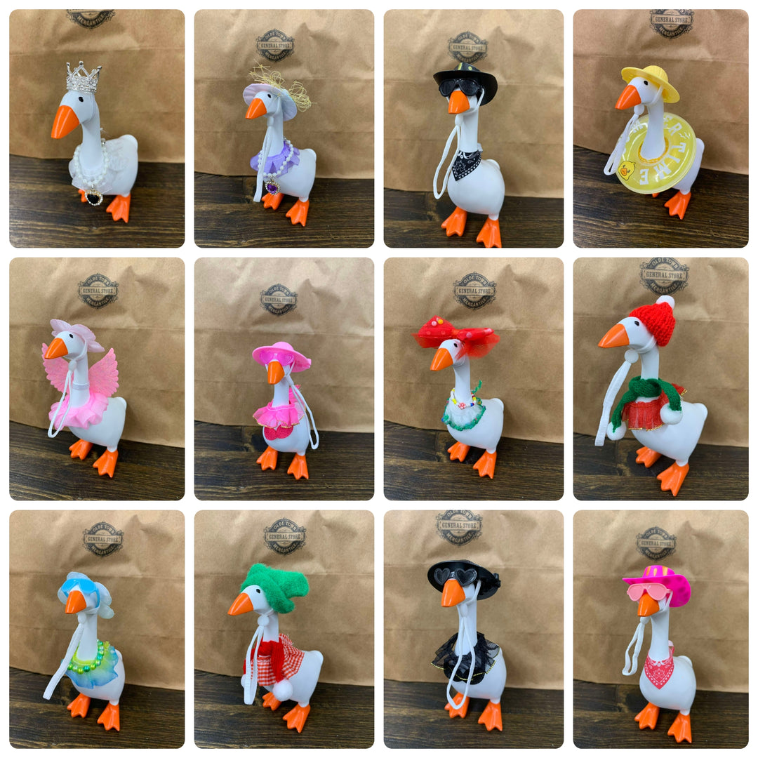12pc Goose Outfits