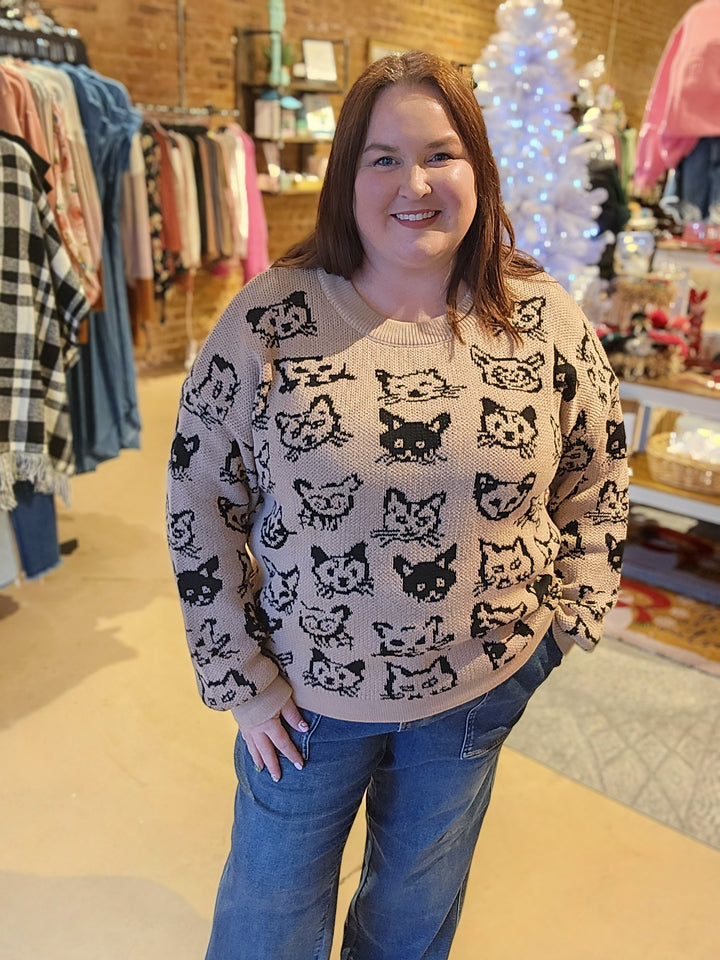 Crazy Cat Lady Sweater