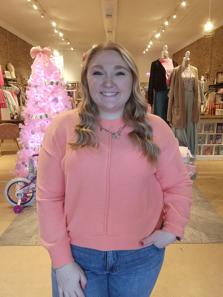 Plush Front Seam Top